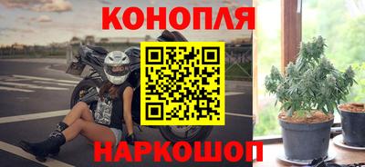 шишки Заволжье