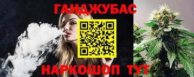 шишки Заволжье