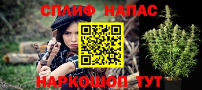 шишки Заволжье