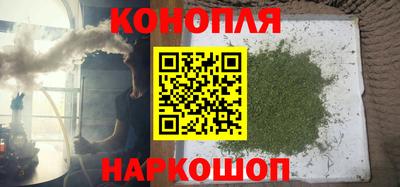 шишки Заволжье