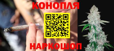шишки Заволжье