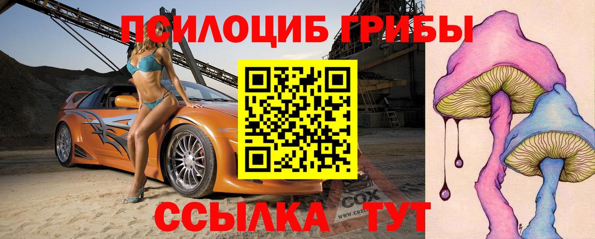 Малгобек  Псилоцибиновые грибы ЛСД  Вход с VPN 