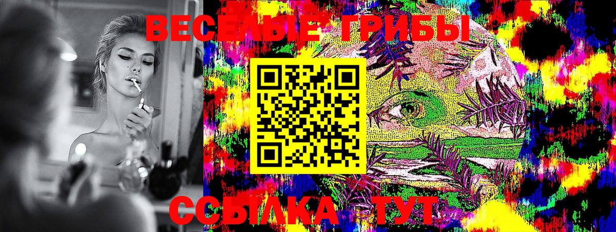 Галлюциногенные грибы Cubensis Малгобек
